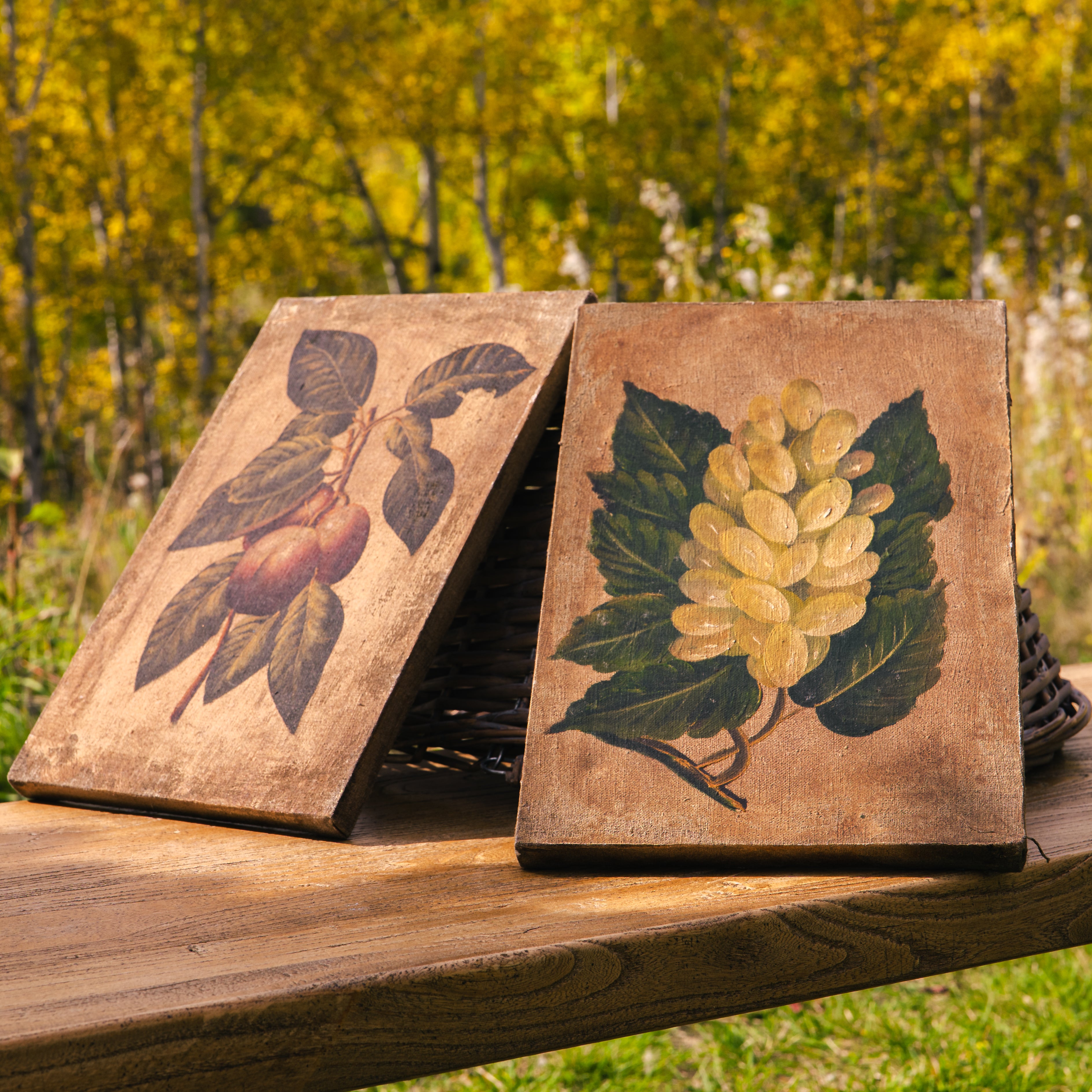Vintage hand painted botanical paintings