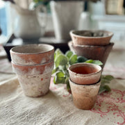Antique French Terracotta Garden Pots