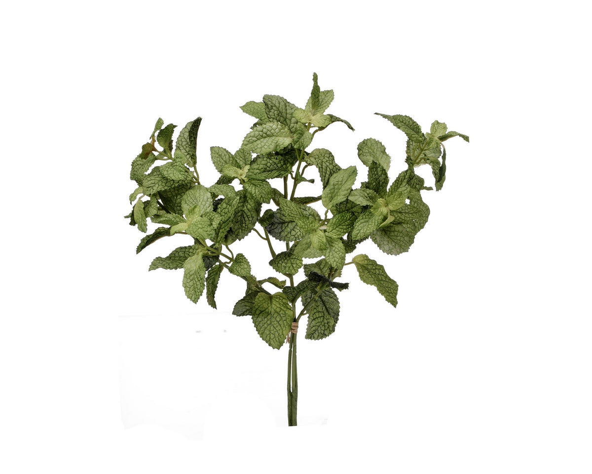 12" Mint Bundle