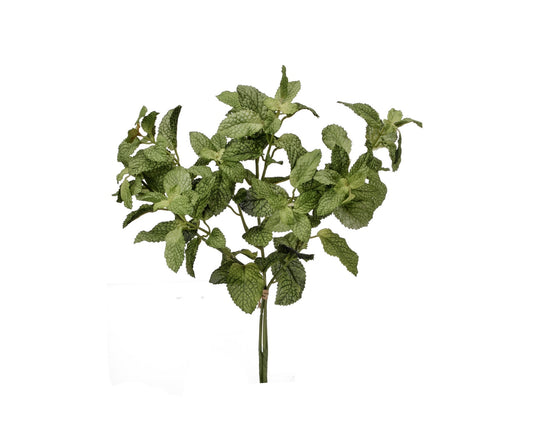12" Mint Bundle