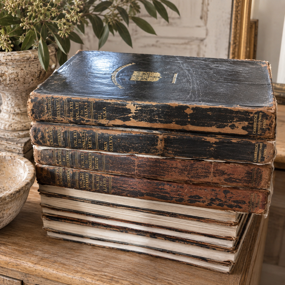 Antique Encyclopaedia Britannica — Eleventh Edition, 1911