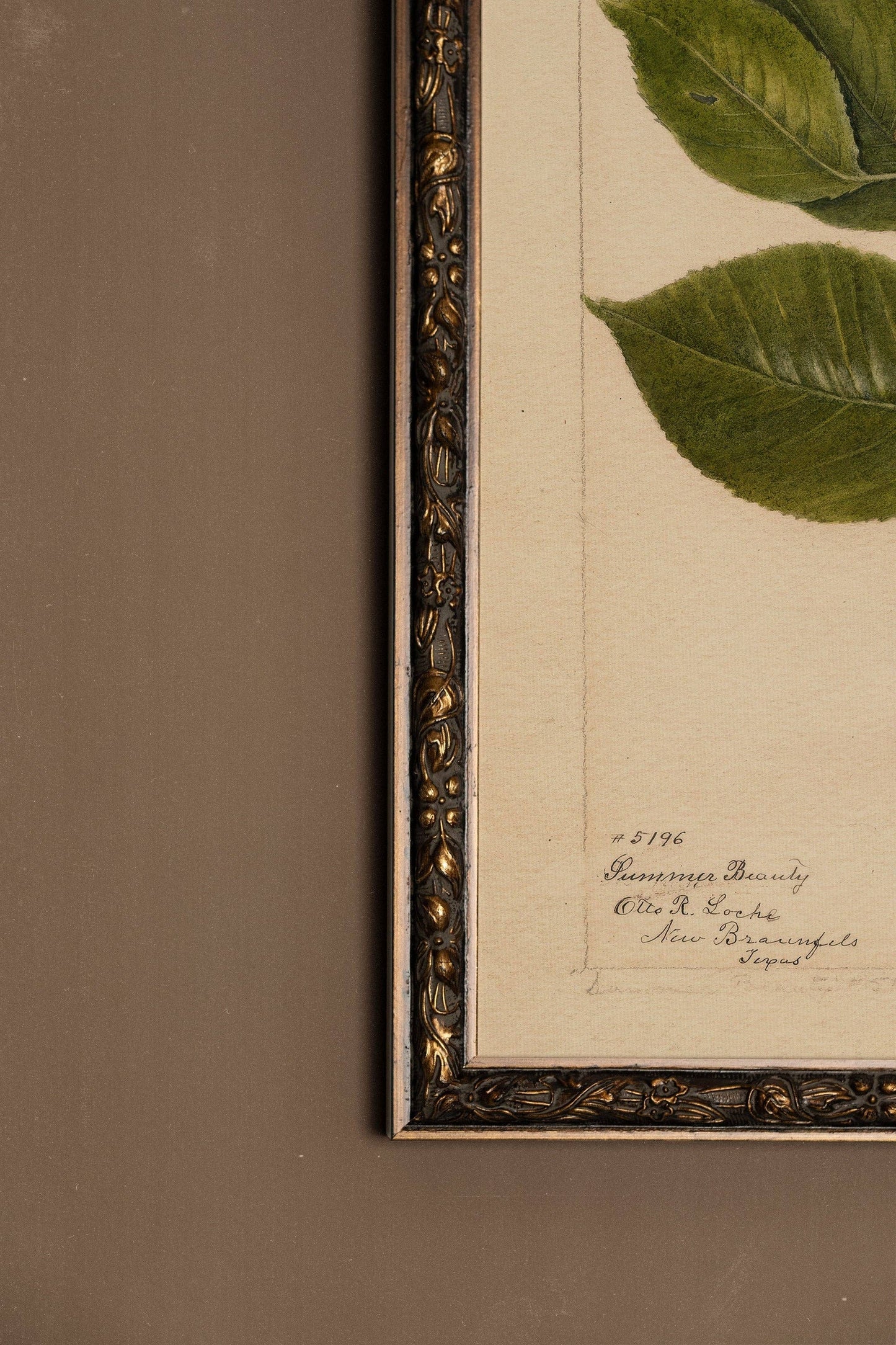 Nectar of the Season, Rigid Canvas, Vintage Bronze Frame