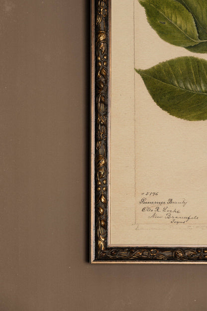 Nectar of the Season, Rigid Canvas, Vintage Bronze Frame