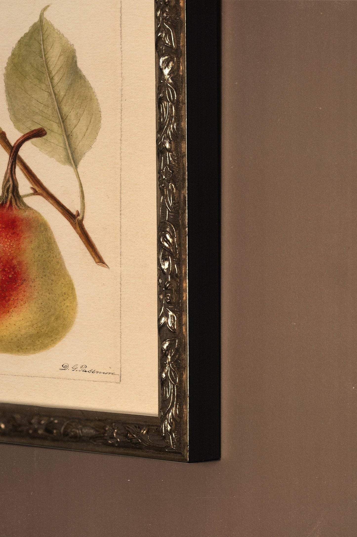 Nectar of the Season, Rigid Canvas, Vintage Bronze Frame