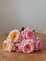Real Touch Austin Rose