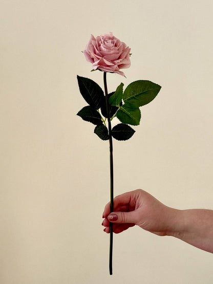 Real touch Garden Rose in blush
