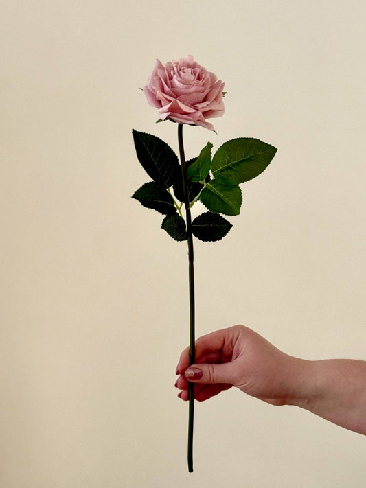 Real touch Garden Rose in blush