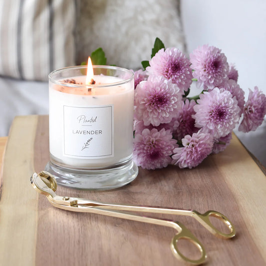 Calming Lavender Candle-Planted