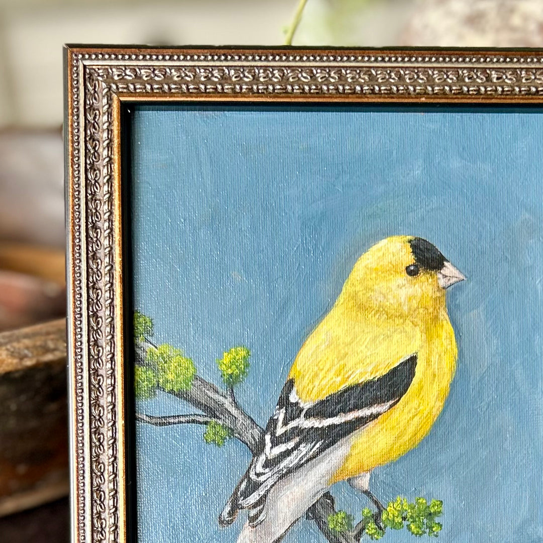 Golden song - framed original by Sarah Fehr