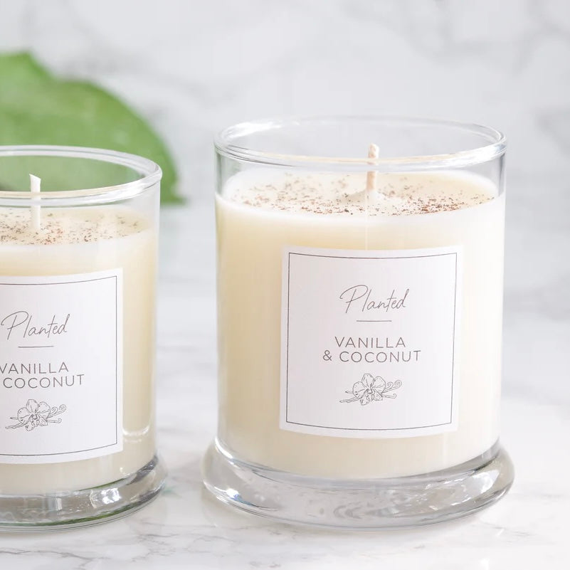 Warm vanilla & coconut
