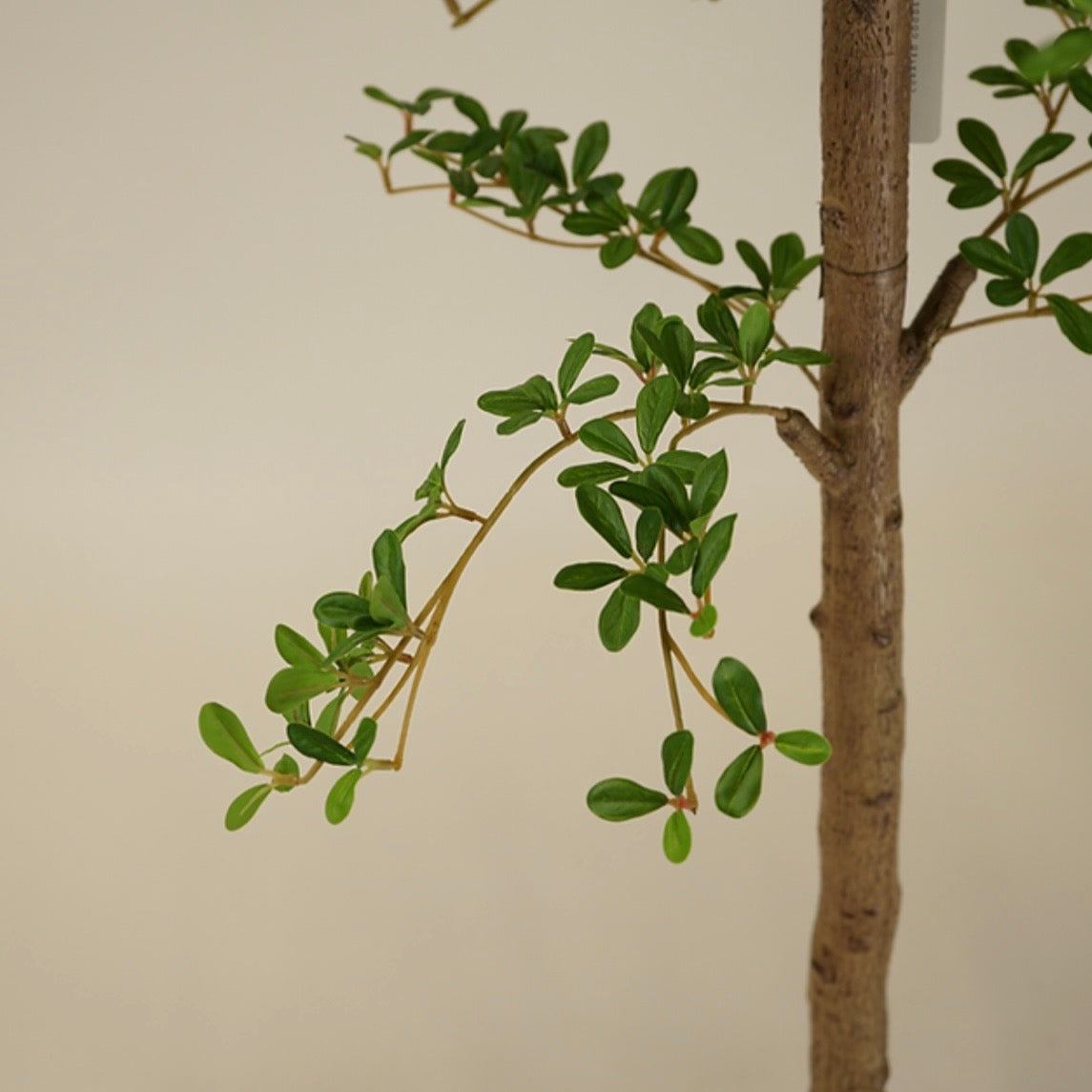 6' Faux Shady Lady Tree
