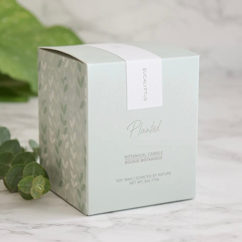 Energizing Eucalyptus Candle-Planted 9oz