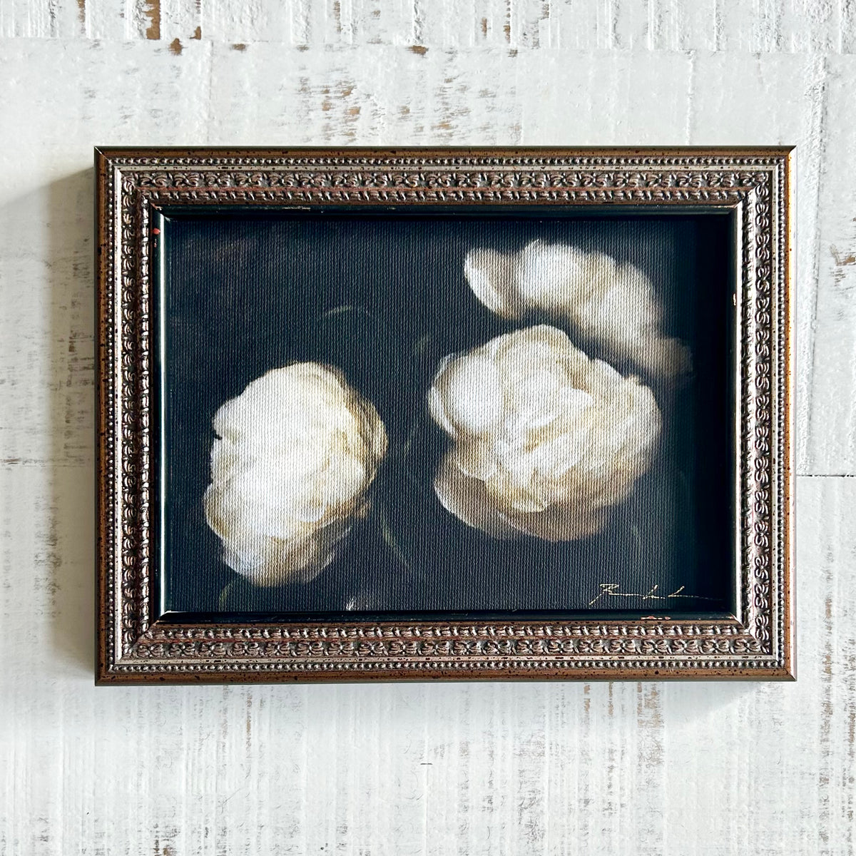 Botanica no.20 framed fine art print