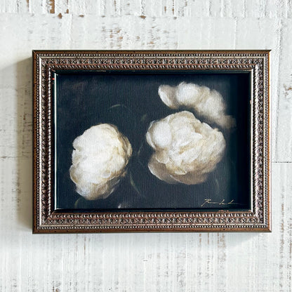 Botanica no.20 framed fine art print