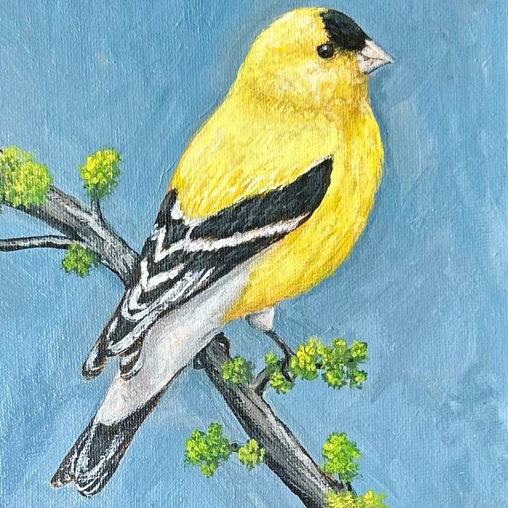 Golden song - framed original by Sarah Fehr