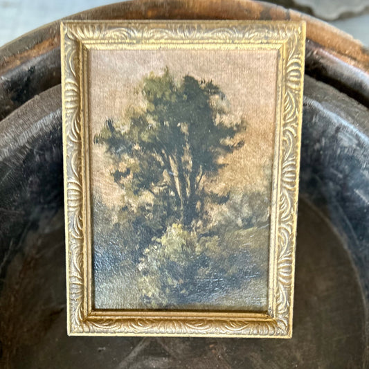 Lost in nature (framed) 5x7”