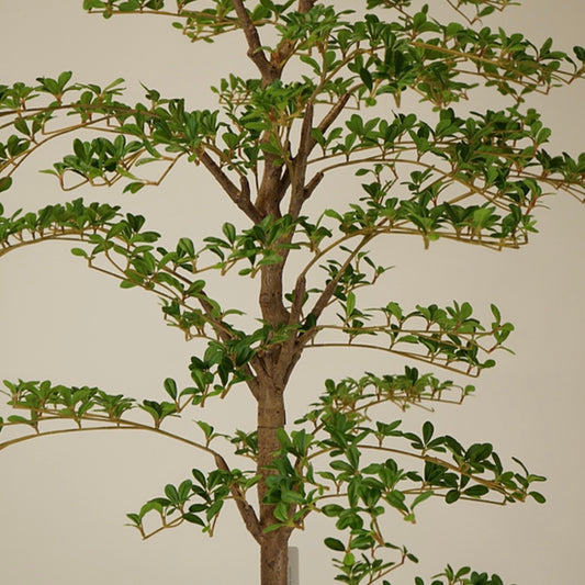 6' Faux Shady Lady Tree
