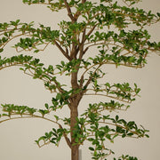 6' Faux Shady Lady Tree