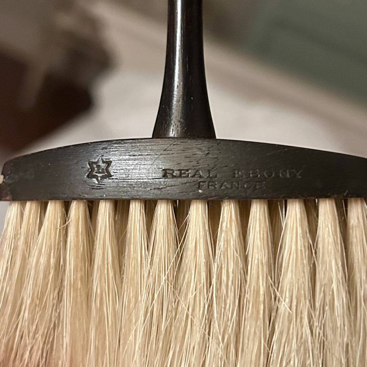 Vintage French Ebony Clothes Brush
