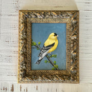 Golden song - framed original 6x8”