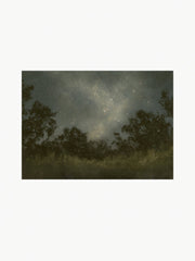 Seeds Of Light-Framed Fine Art Print