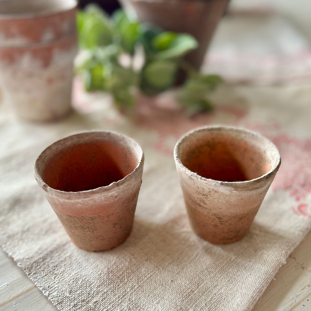 Antique French Terracotta Garden Pots
