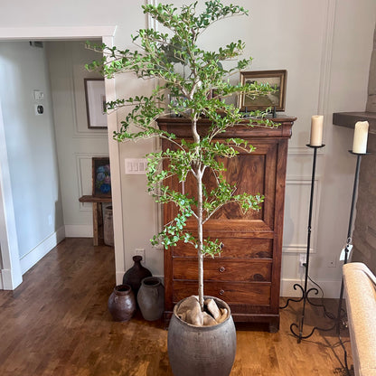 6' Faux Shady Lady Tree