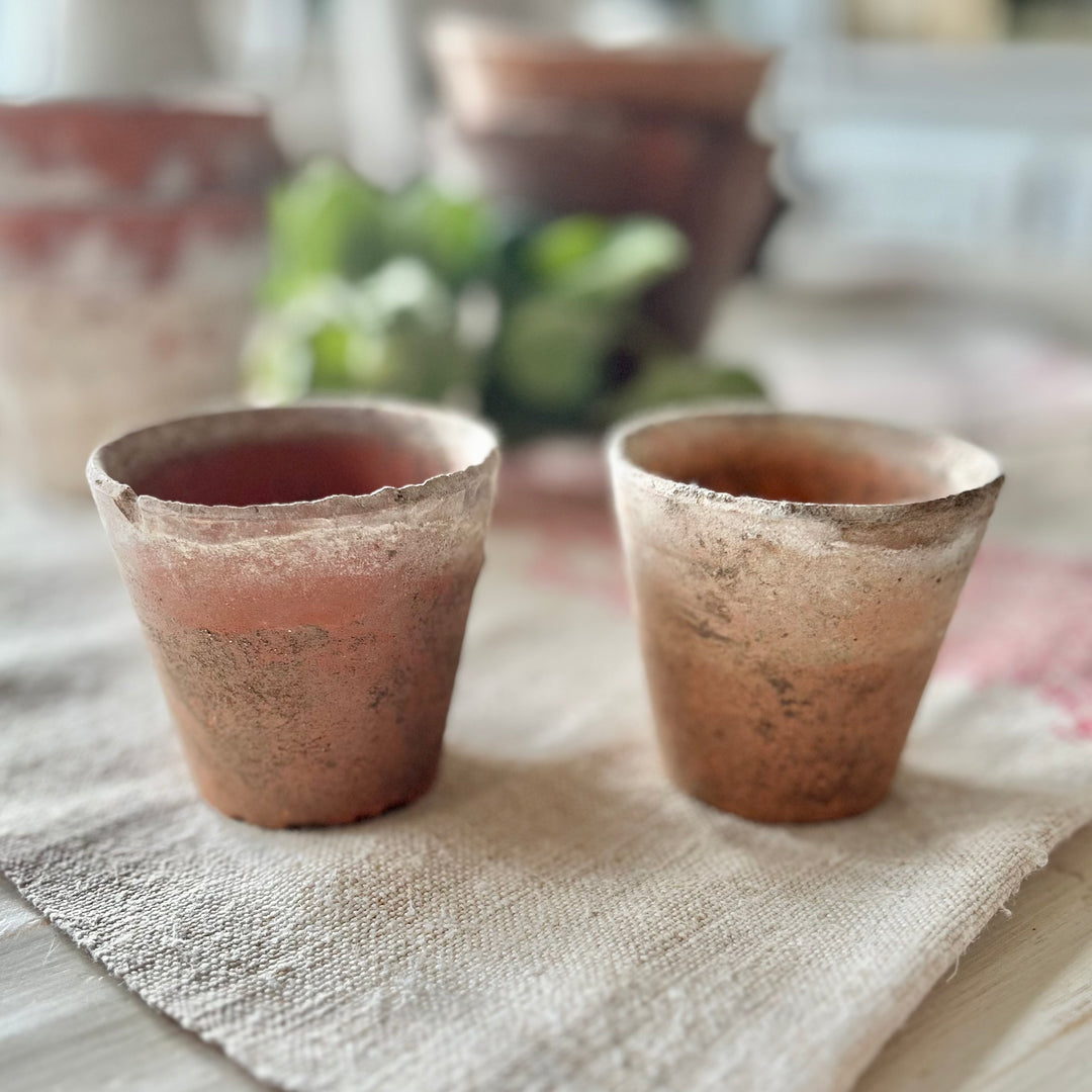 Antique French Terracotta Garden Pots