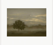 Morning Mist-Framed Fine Art Print 8x10”