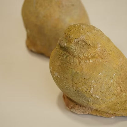 French vintage stone carved Garden dove