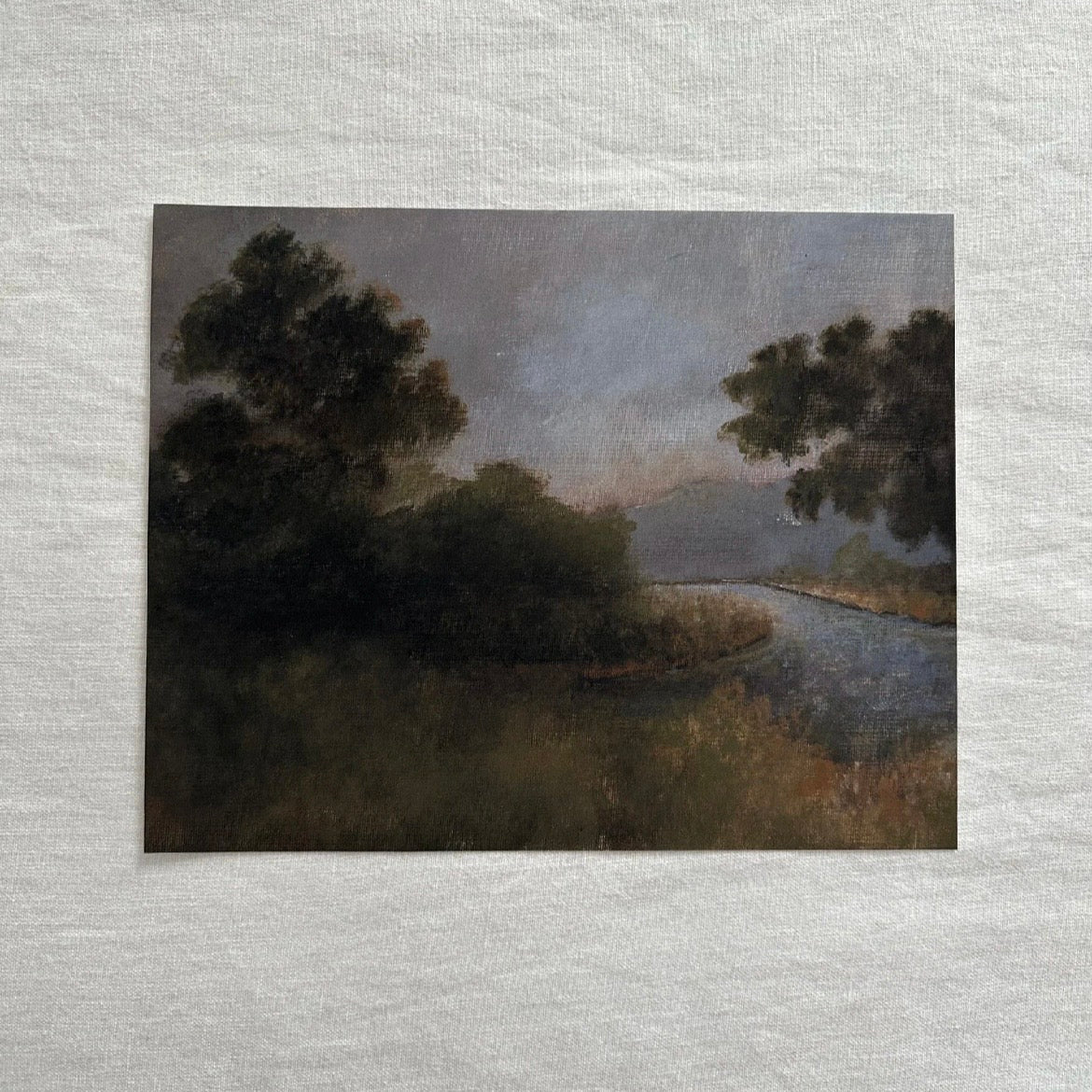 Morning Glory Framed Fine Art Print