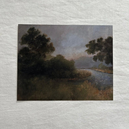 Morning Glory Framed Fine Art Print