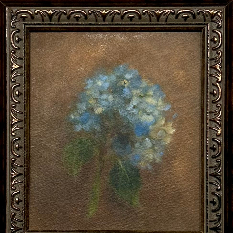 Blue Hydrangea Bloom- original oil on paper by Alicia Cook