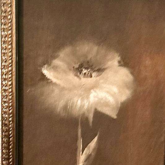 Stillness in bloom