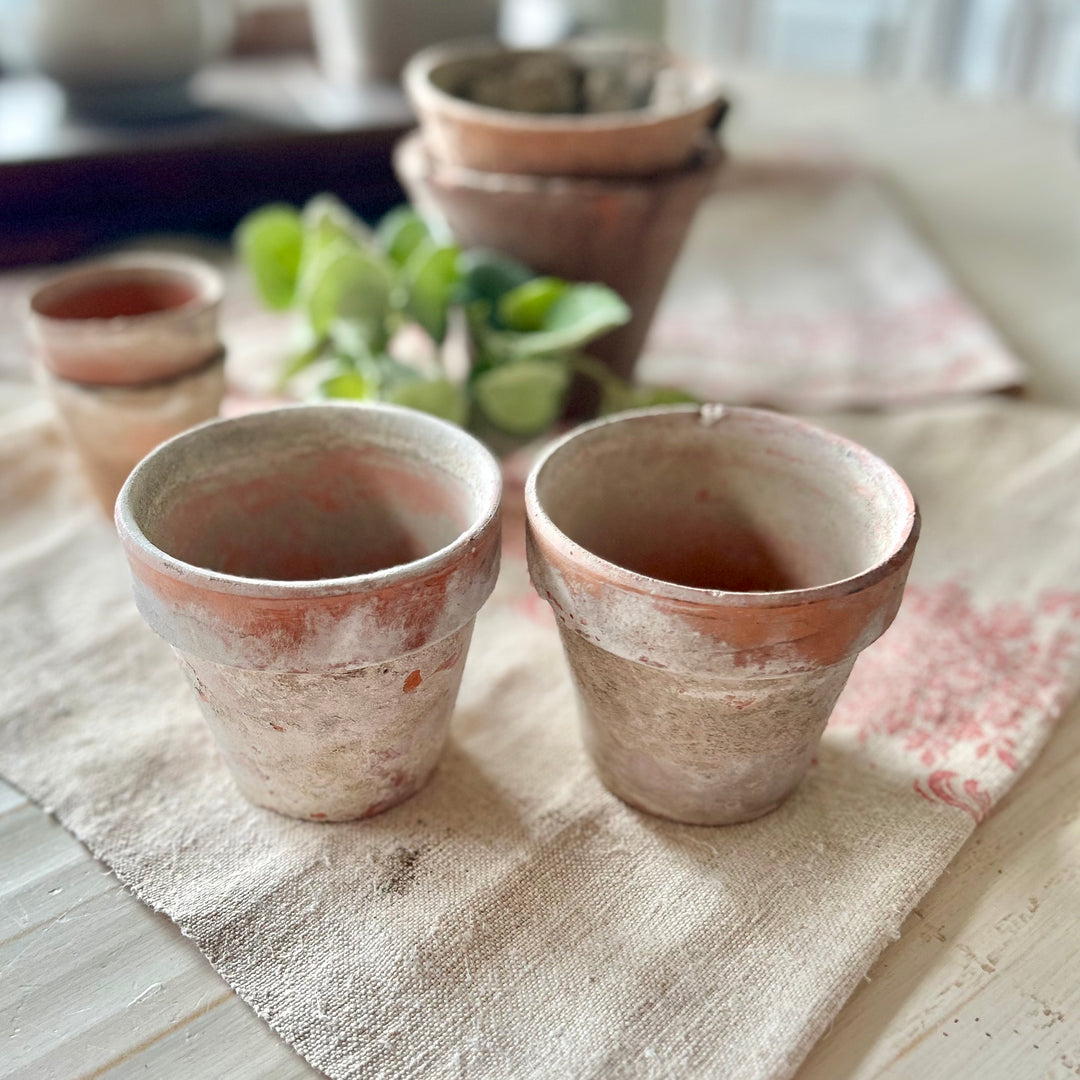 Antique French Terracotta Garden Pots