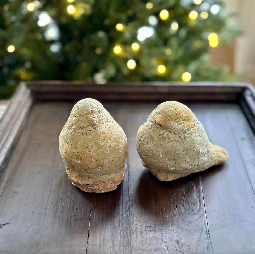 French vintage stone carved Garden dove