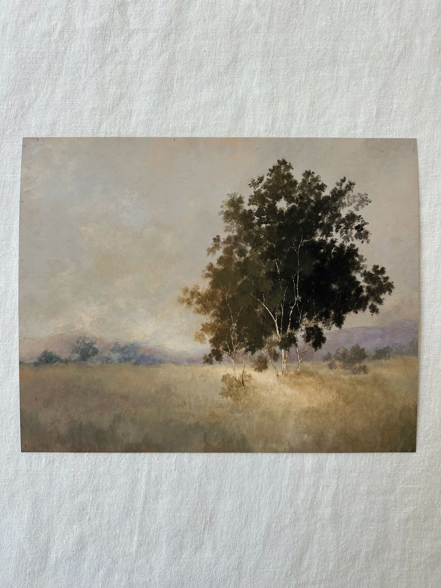 We woke to a dream framed fine art print