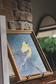 Golden song - framed original 6x8”