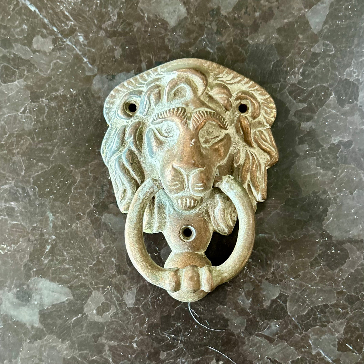 Vintage french lion head door knocker