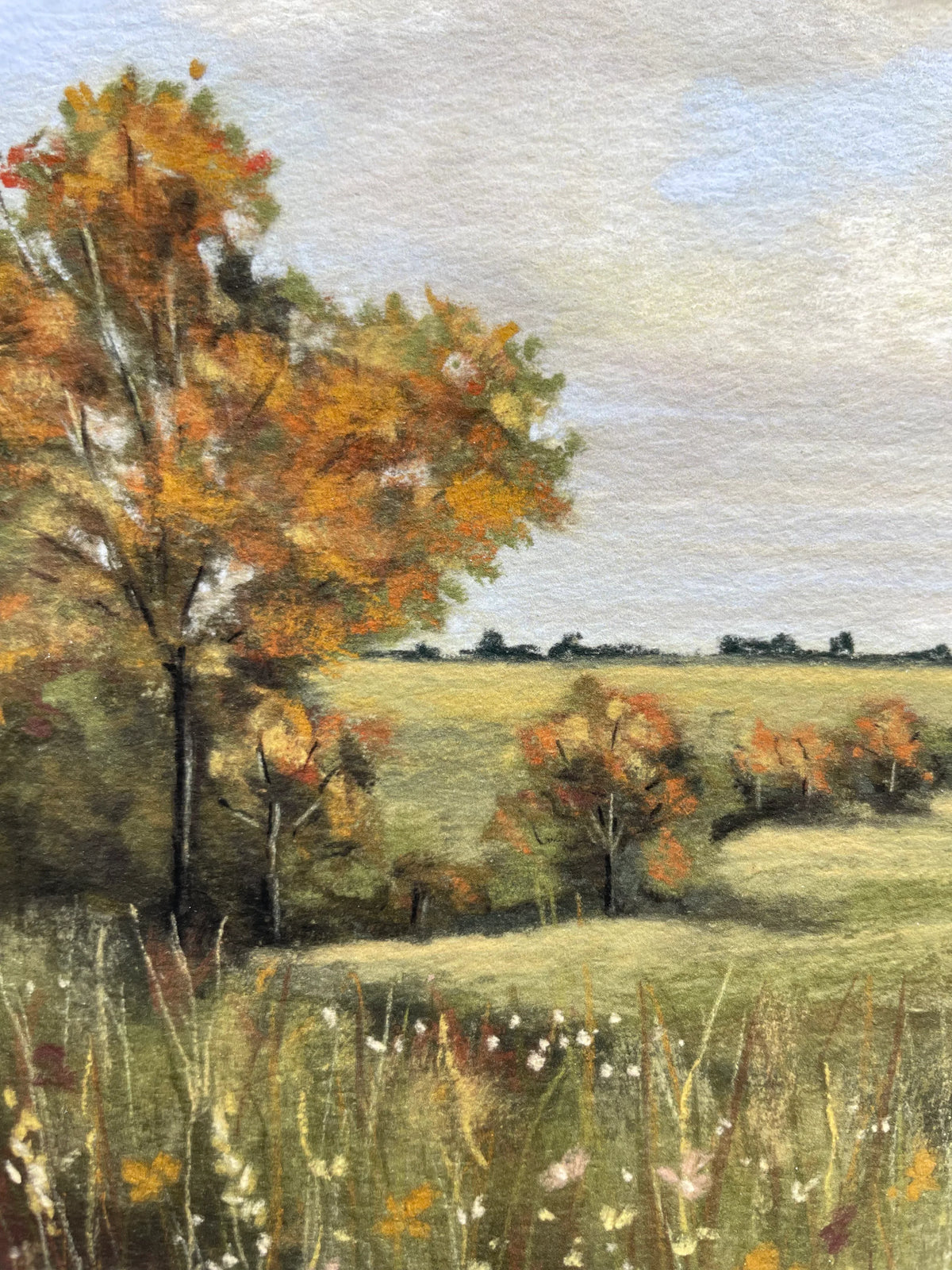 Changing Leaves (framed)