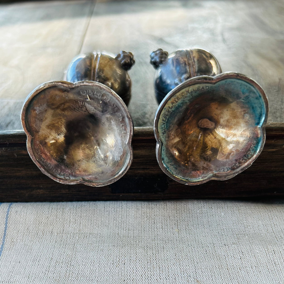Vintage Silver-Plated Salt & Pepper Shakers