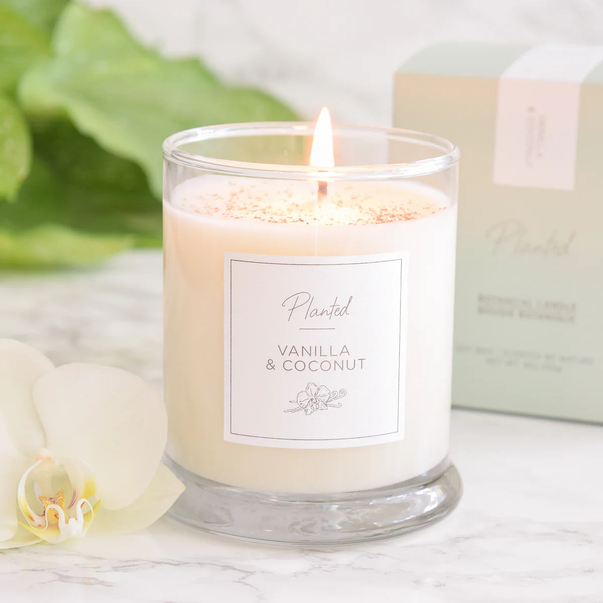 Warm vanilla & coconut