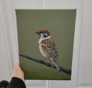 Quiet Observer - framed original 9x12”