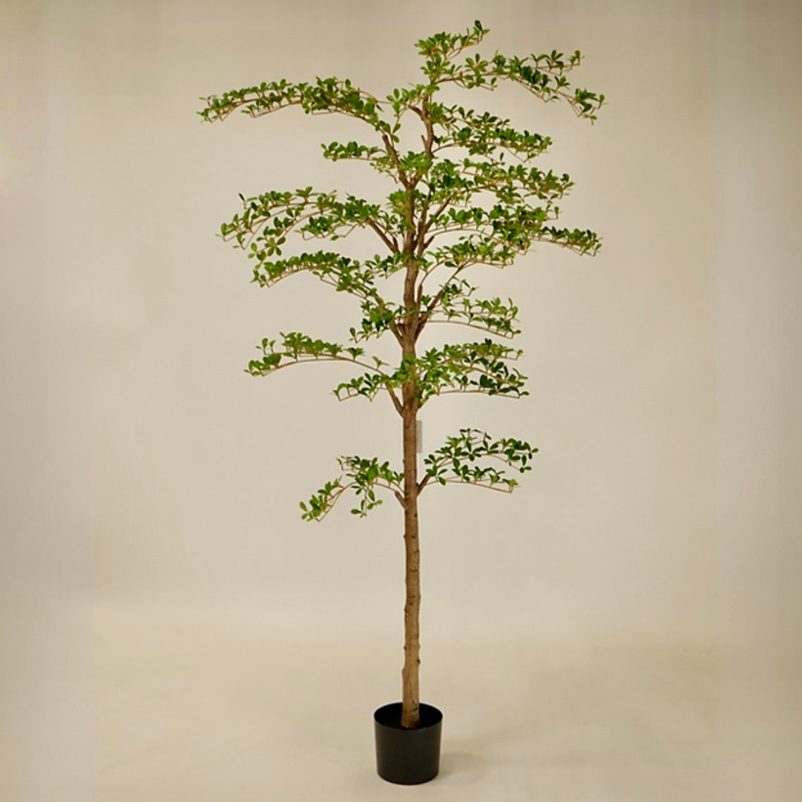 6' Faux Shady Lady Tree