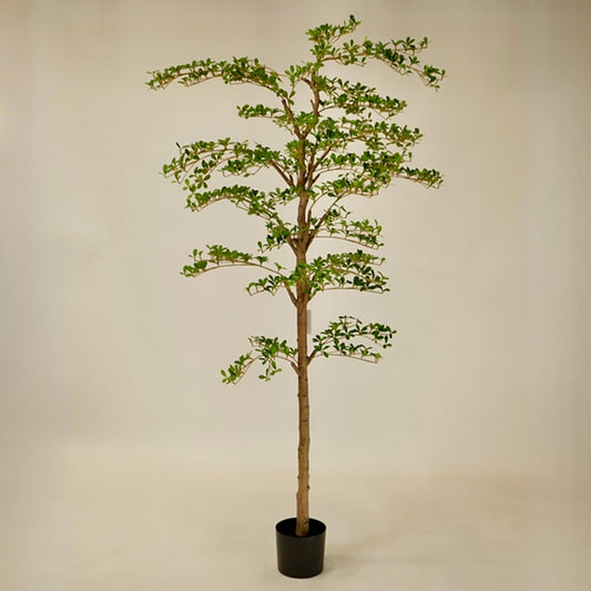 6' Faux Shady Lady Tree