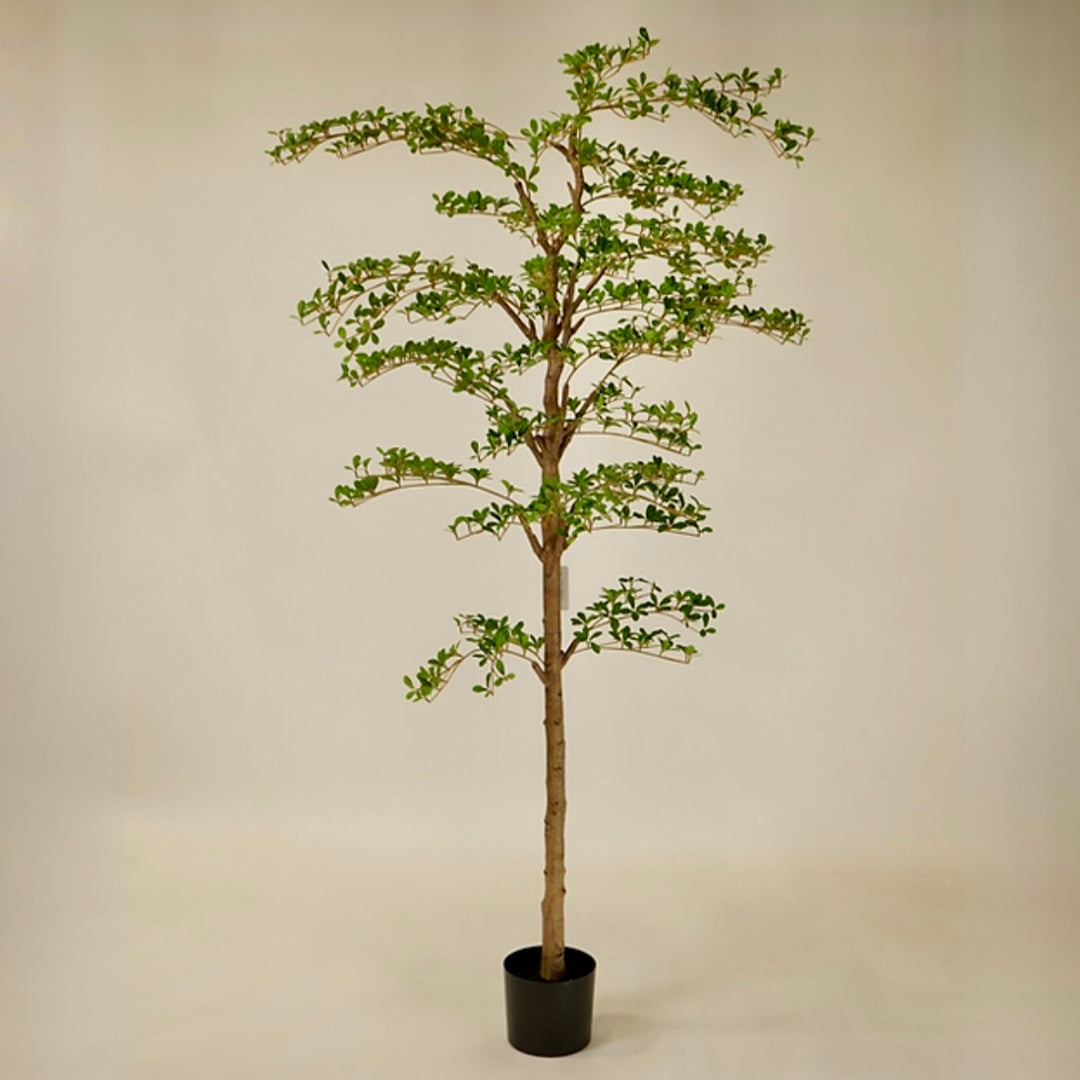 6' Faux Shady Lady Tree