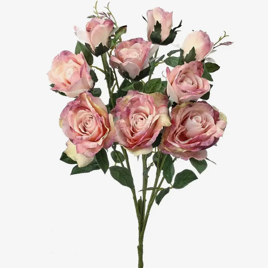 Garden Rose Bush 29" - Pink/cream/green