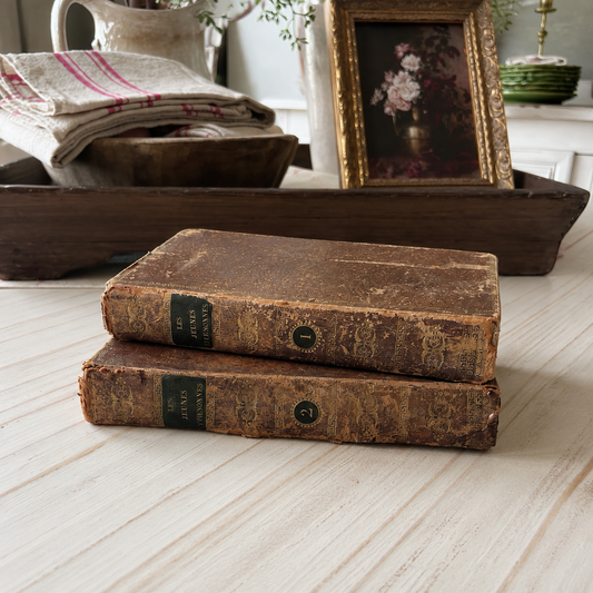 Pair of Antique French Leather Books | 1822