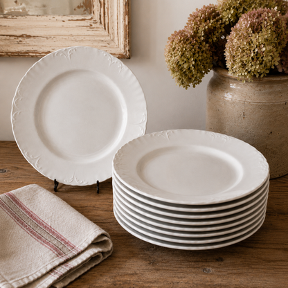 Set of 10 Vintage J. & G. Meakin English Ironstone Dinner Plates