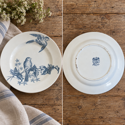 Antique Belgian Boch Frères “Fauvette” Bird Plates — Set of 4